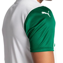 Camisa Palmeiras 2025/26 R.VEIGA Nº23