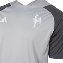 Camisa Atlético Mineiro 2025 TREINO