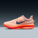 Tênis Nike Pegasus