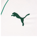 Camisa do Palmeiras I 26/27 Torcedor Puma II