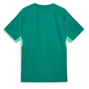 Camisa Palmeiras Puma 26/27