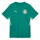 Camisa Palmeiras Puma 26/27
