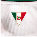 Camisa do Palmeiras I 26/27 Torcedor Puma II