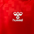 Camisa Dinamarca 2024/25