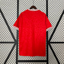 Camisa Dinamarca 2024/25